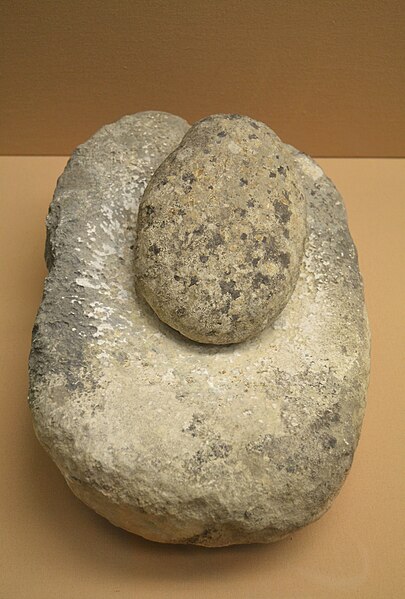 File:Molí barquiforme i mola, Museu Arqueològic d'Oliva.JPG