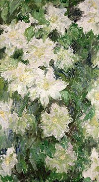 White Clematis Monet w1144.jpg