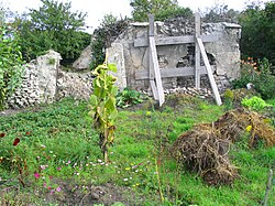 The absence of a comprehensive development project on the part of the municipality and the Conseil General is leading to the rapid and irreversible destruction of the remaining orchards. Murpeche3.JPG