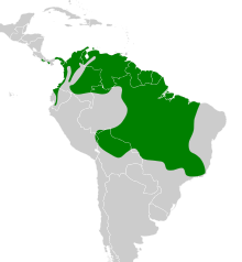 Myiozetetes cayanensis map.svg