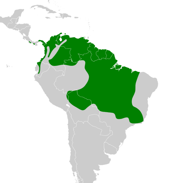 File:Myiozetetes cayanensis map.svg