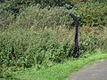 osmwiki:File:NCN Millennium Milepost MP1087 Dreghorn.jpeg