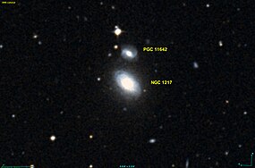 NGC 1217 DSS.jpg