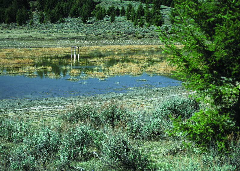 File:NRCSMT01016 - Montana (4883)(NRCS Photo Gallery).jpg