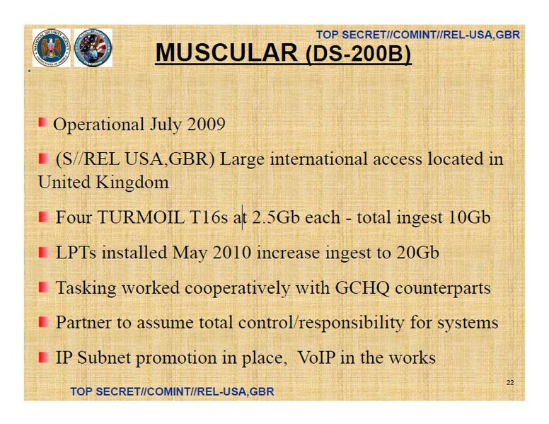 File:NSA MUSCULARUK.jpg