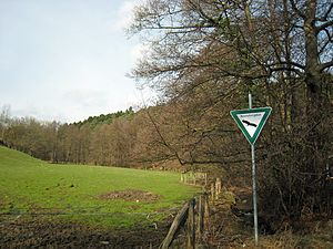 The lower Krebsbachtal near the mouth area (2017)