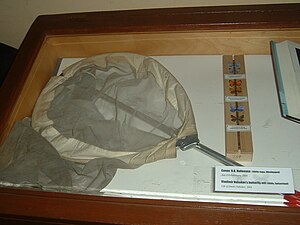 Butterfly Net: Type of net used to capture insects