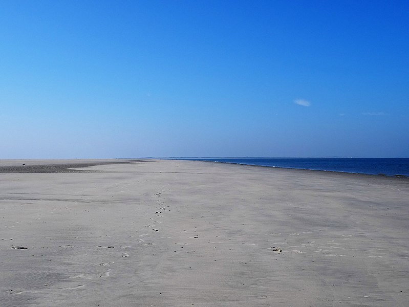 File:Nationalpark Niedersächsisches Wattenmeer - Spiekeroog - Watt (23).jpg