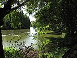 Naturschutzgebiet Storkower Kanal 01.jpg