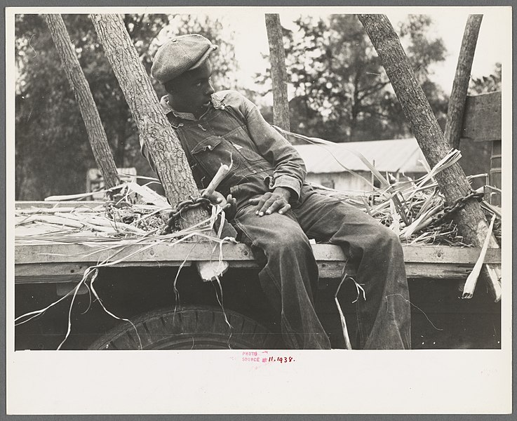 File:Negro boy sitting on sugarcane truck, Morganza, Louisiana.jpg