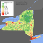 Thumbnail for Demographics of New York (state)