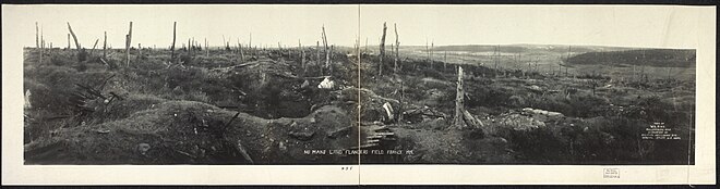 A stretch of no man's land at Flanders Fields, Belgium, 1919 No-man's-land-flanders-field.jpg