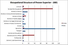 The occupational structure of Peover Superior in 1881 Occupational Structure of Peover Superior 1881.jpg