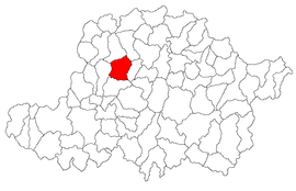 Lage in Arad County