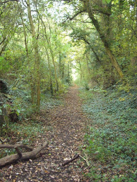 File:Old Crab and Winkle line - geograph.org.uk - 275507.jpg