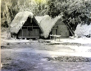 Surinam, Cotica Nehri kıyısında.  1965.jpg