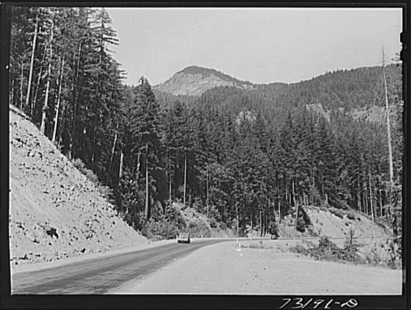 OR 58 through the Willamette National Forest, 1942