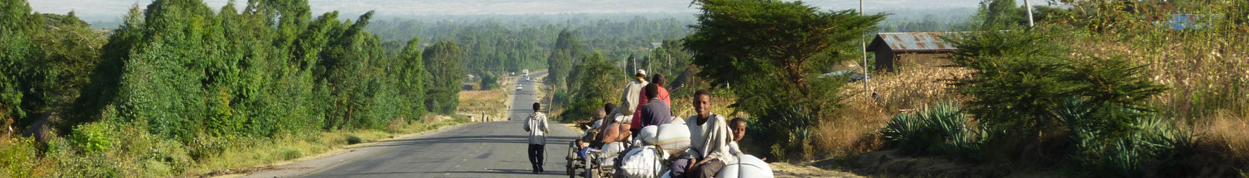 Banner de Oromia.jpg