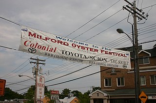 <span class="mw-page-title-main">Milford Oyster Festival</span>