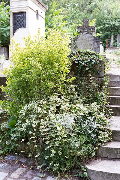 File:Père-Lachaise - Division 11 - Dillon 01.jpg