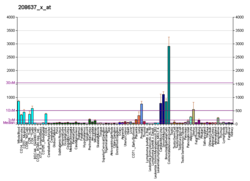 PBB GE ACTN1 208637 x bij fs.png