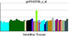 PBB GE HCN3-gnf1h03748 s ĉe tn.png