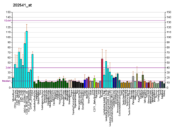 PBB GE SCYE1 202541 at fs.png