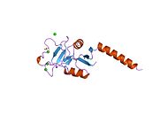 1hup: Dominio de recoñecemento de carbohidratos da proteína de unión á manosa humana que se trimeriza a través dunha superhélice de tripla hélice alfa