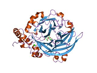 Glycoside hydrolase family 68