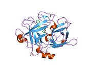 PDB 1sqa EBI.jpg