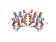 PDB 2azt EBI.png