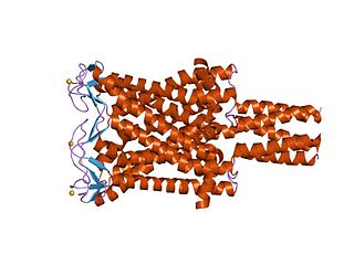 Large-conductance mechanosensitive channel