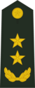 中将