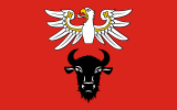 Zambrów County