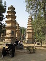 Nekoliko pagoda u šumi