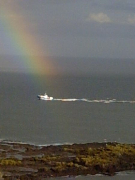 File:Paint the whole world with a RAINBOW^ - geograph.org.uk - 190475.jpg