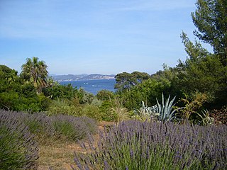 Gardens of Provence-Alpes-Côte dAzur
