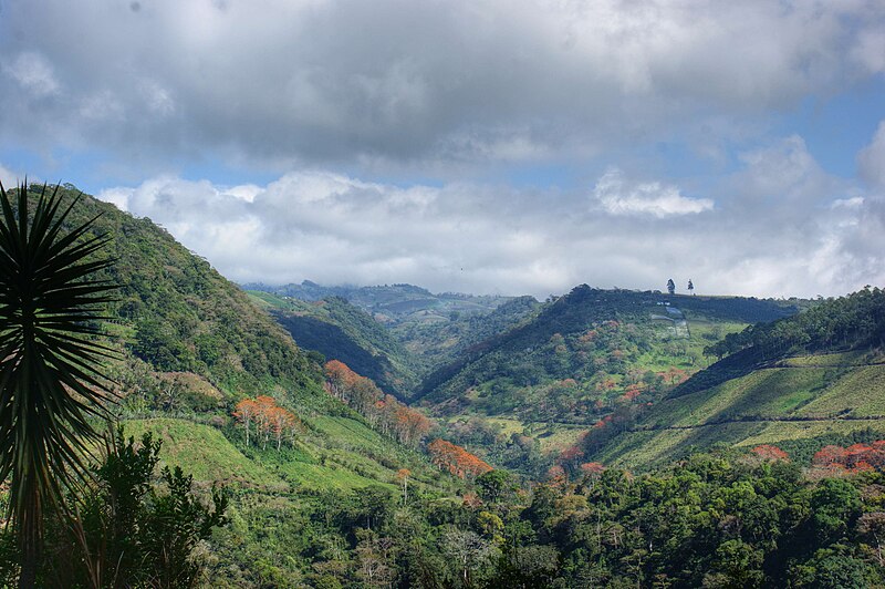 File:Pejivalle, Cartago, Costa Rica 3.jpg