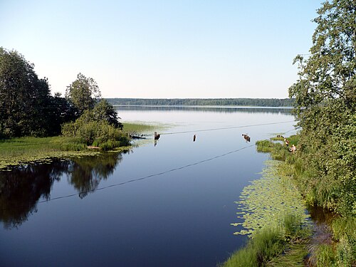 Окуловка озеро. Озеро Перетно Окуловка. Перетно озеро Новгородская область. Боровно озеро Окуловский.