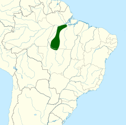Distribución geográfica del ermitaño del Tapajós