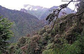 February 9: Northwestern Yunnan, China.