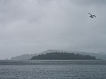 Vignette pour Réserve d'aire marine nationale de conservation et site du patrimoine haïda Gwaii Haanas