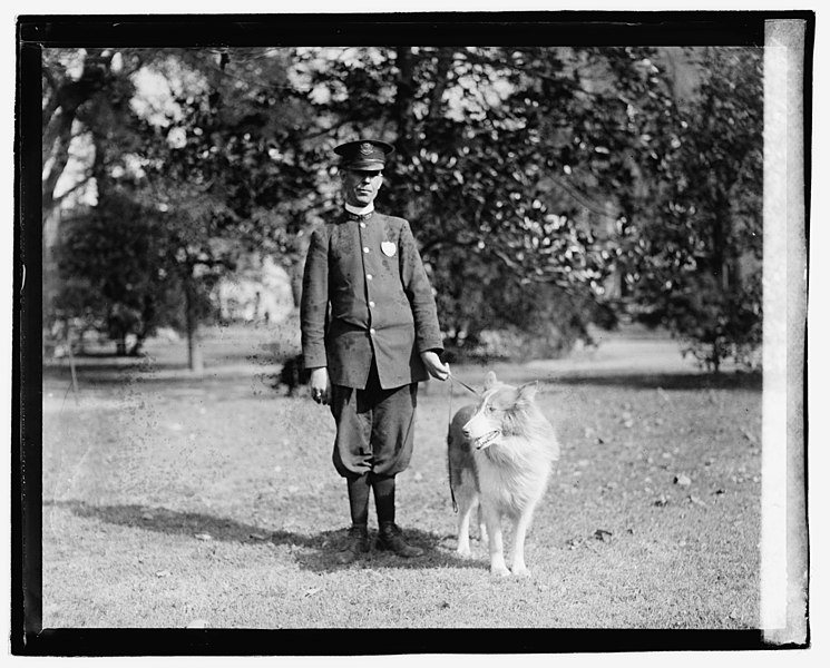 File:Policeman standing in a park holding a dog by the leash LCCN2016829032.jpg