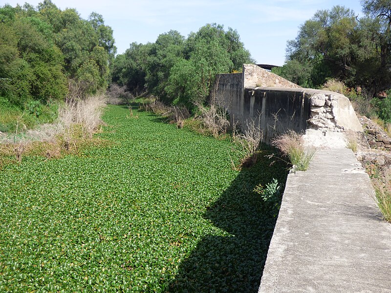 File:Presa de Los Cuartos, Jesús María, Aguascalientes 09.jpg