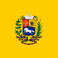Vlajka venezuelského prezidenta Poměr stran: 1:1