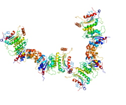 Protein DNMT3A PDB 2QRV.png