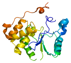 Протеин RNGTT PDB 1i9s.png