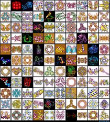Protein_mosaic.jpg