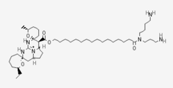 Ptilomycalin A-.png