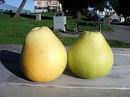 Pomelos